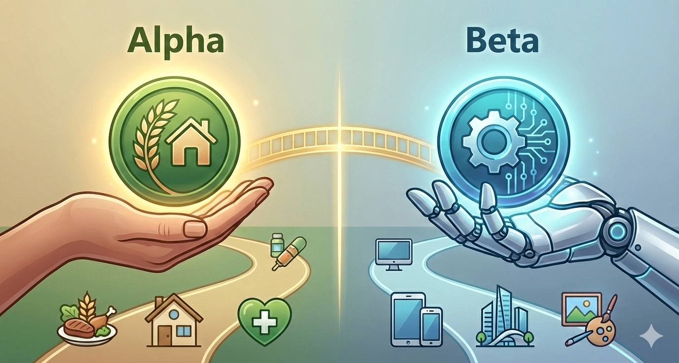 一種設想：雙貨幣體系