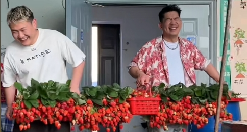 阿姨：我這個資本好像被做局了！