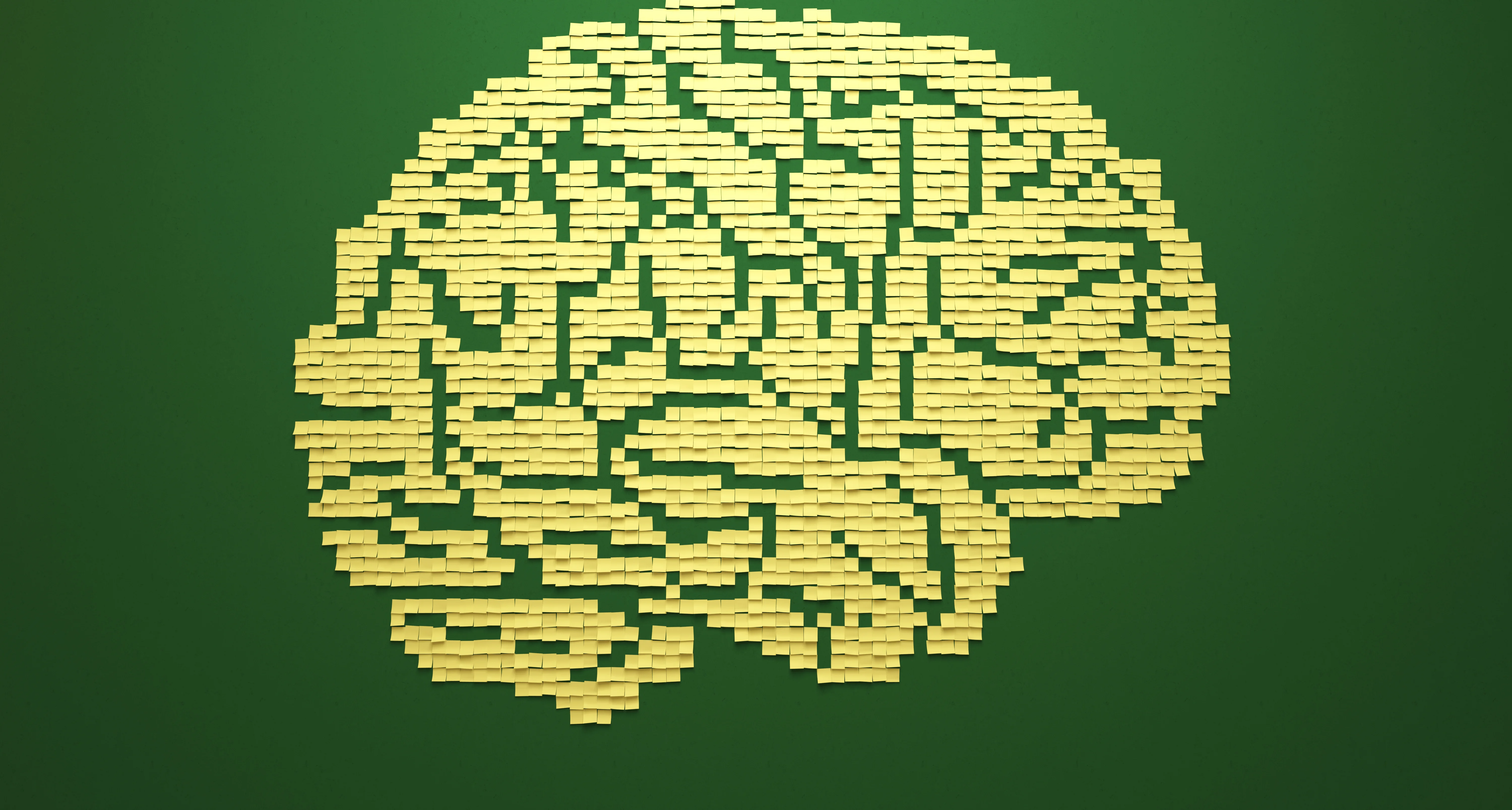 【冷百科】我们的大脑储存空间相当于多少个1TB内存条呢？