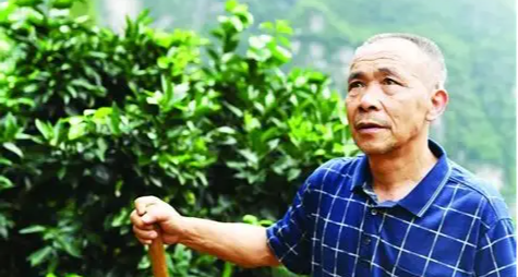 当代愚公---毛 相林