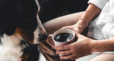 【冷百科】为何能毒杀动物的咖啡，人类喝了却安然无恙？