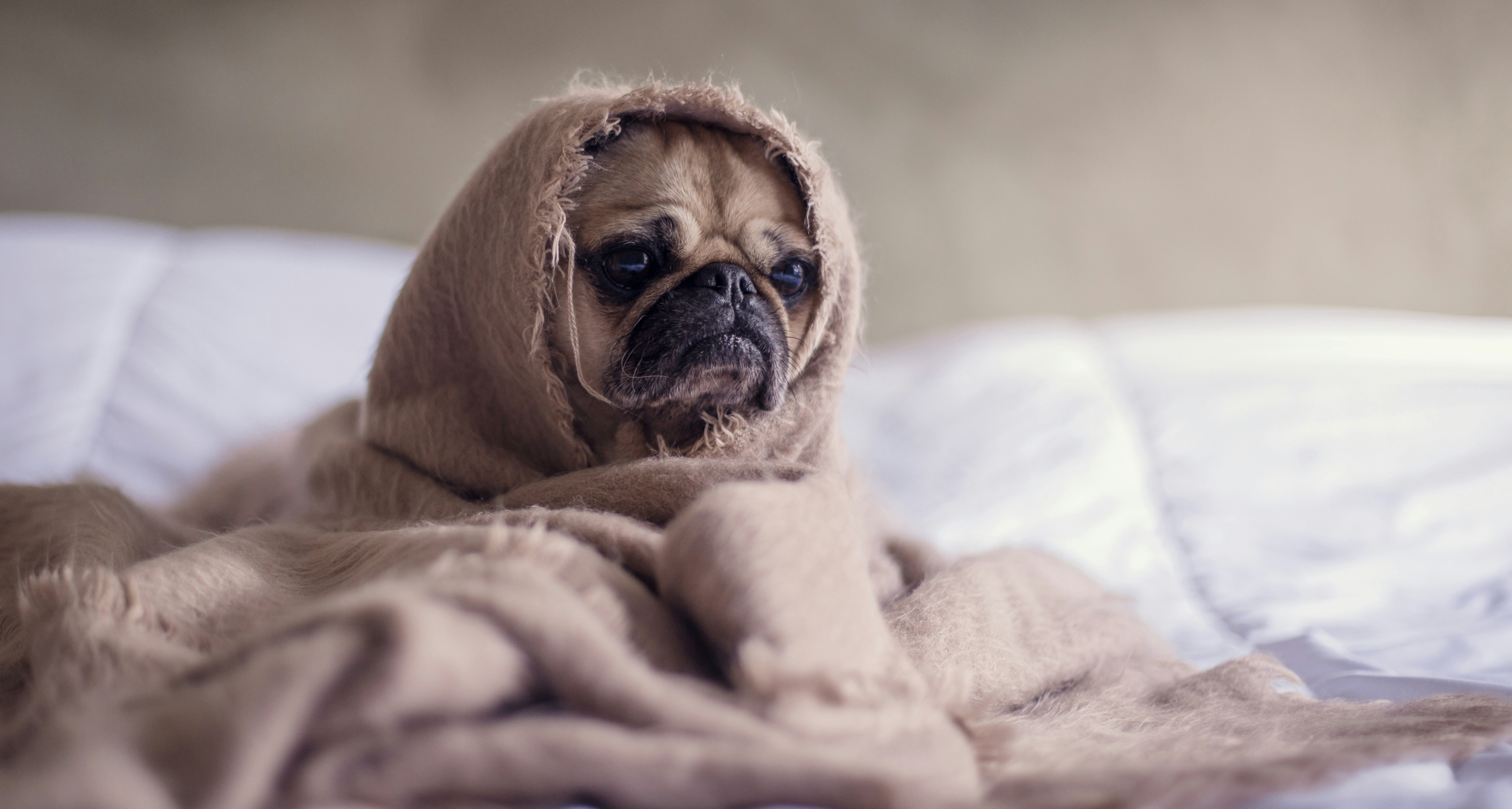 研究發現，常見疾病可能使勃起功能障礙風險增加一倍