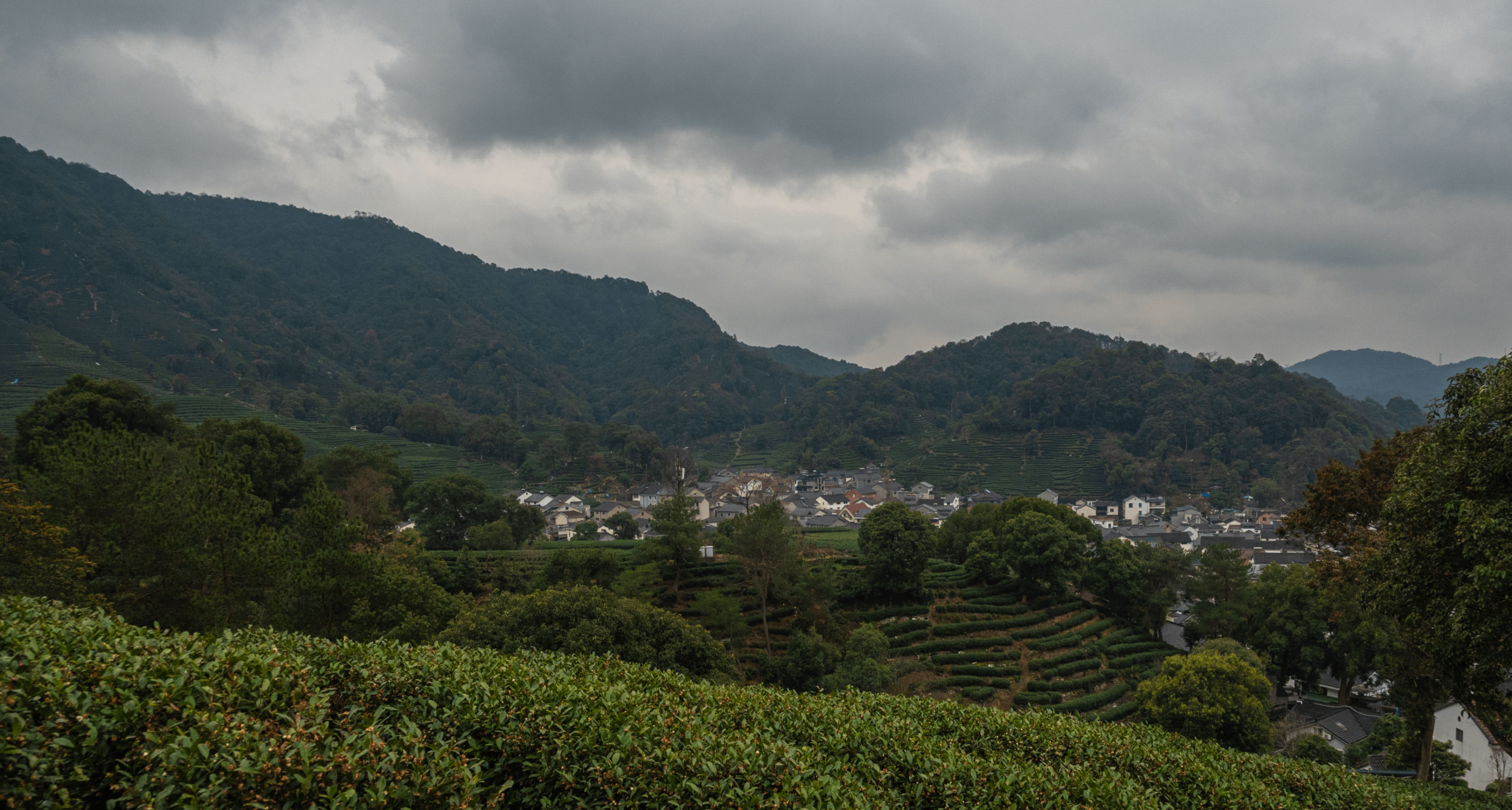 杭州北高峯-雲棲竹徑，途經多處景點的旅遊徒步路線分享