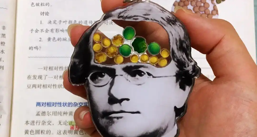 從前有個沒考上 教資的神父 決定在院子裏種了一些 豌豆