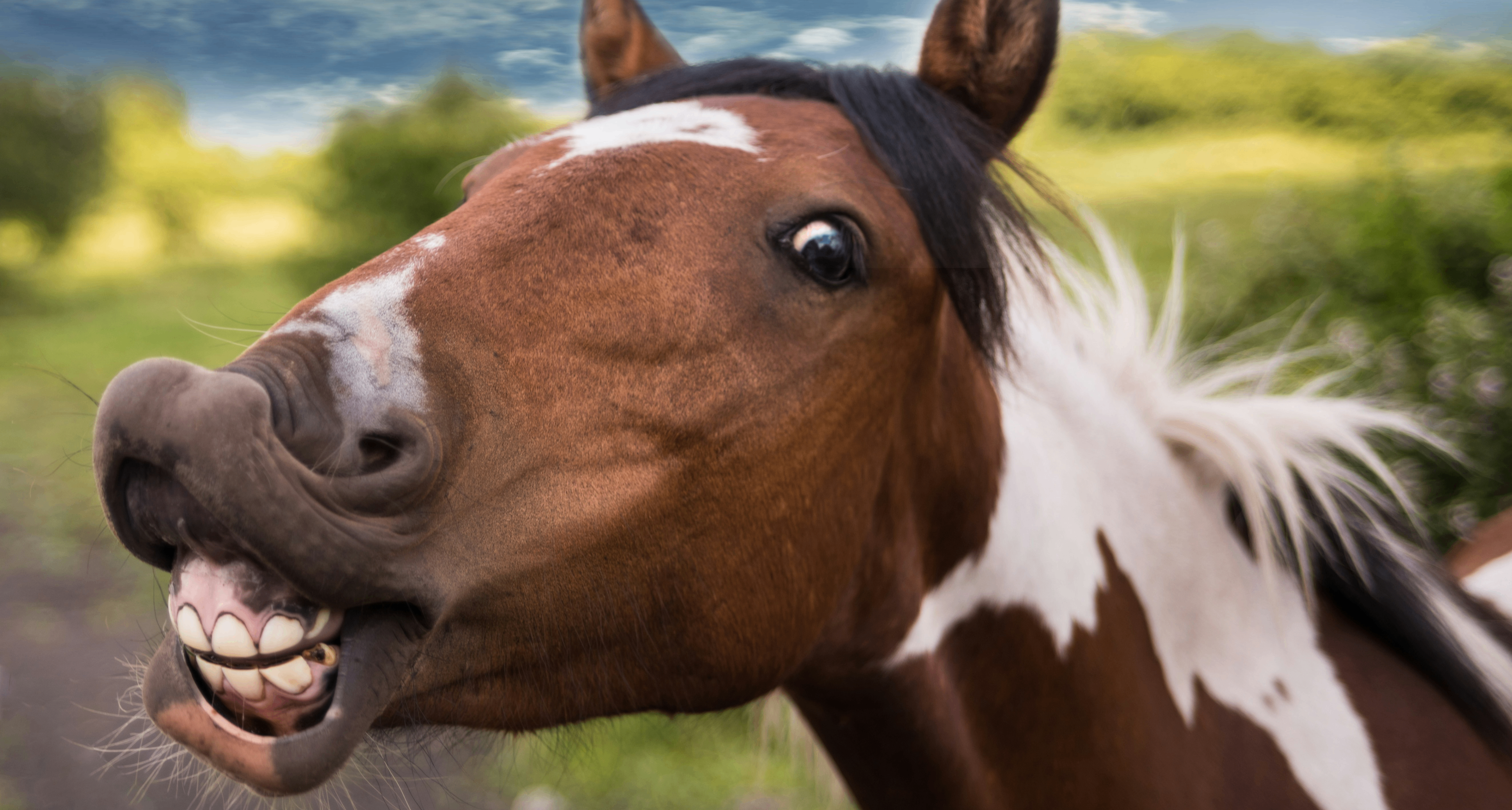 这种罕见的神经系统疾病会导致对笑话上瘾