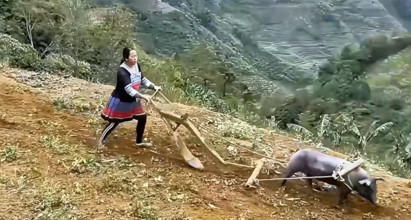 呐，我就说嘛，勤劳就能改变命运！