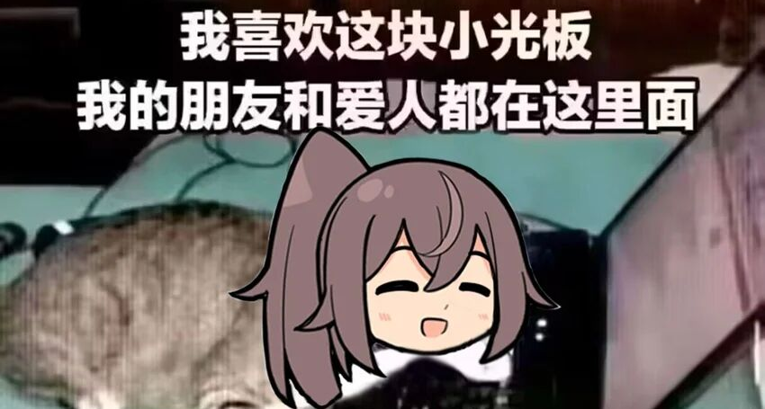 持续五年的“新婚快乐”