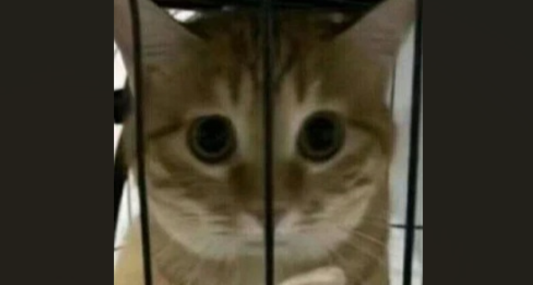 路上偶遇小學同學，說是期末墜機，被請進了寒假補習班