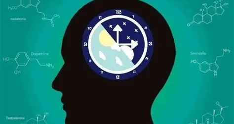 【冷百科】生物钟的本质是什么？它是如何自动调节的？