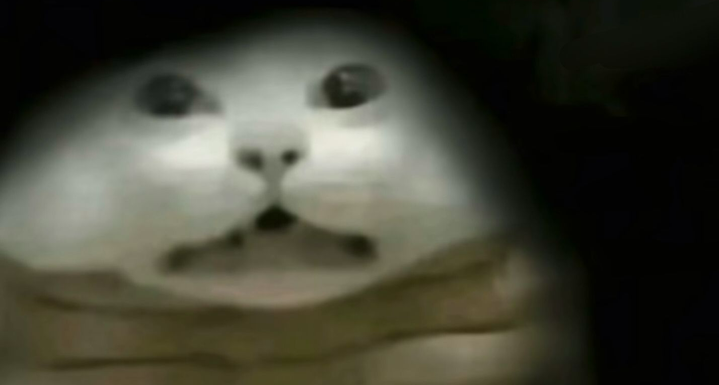 生存领域大神最新力作