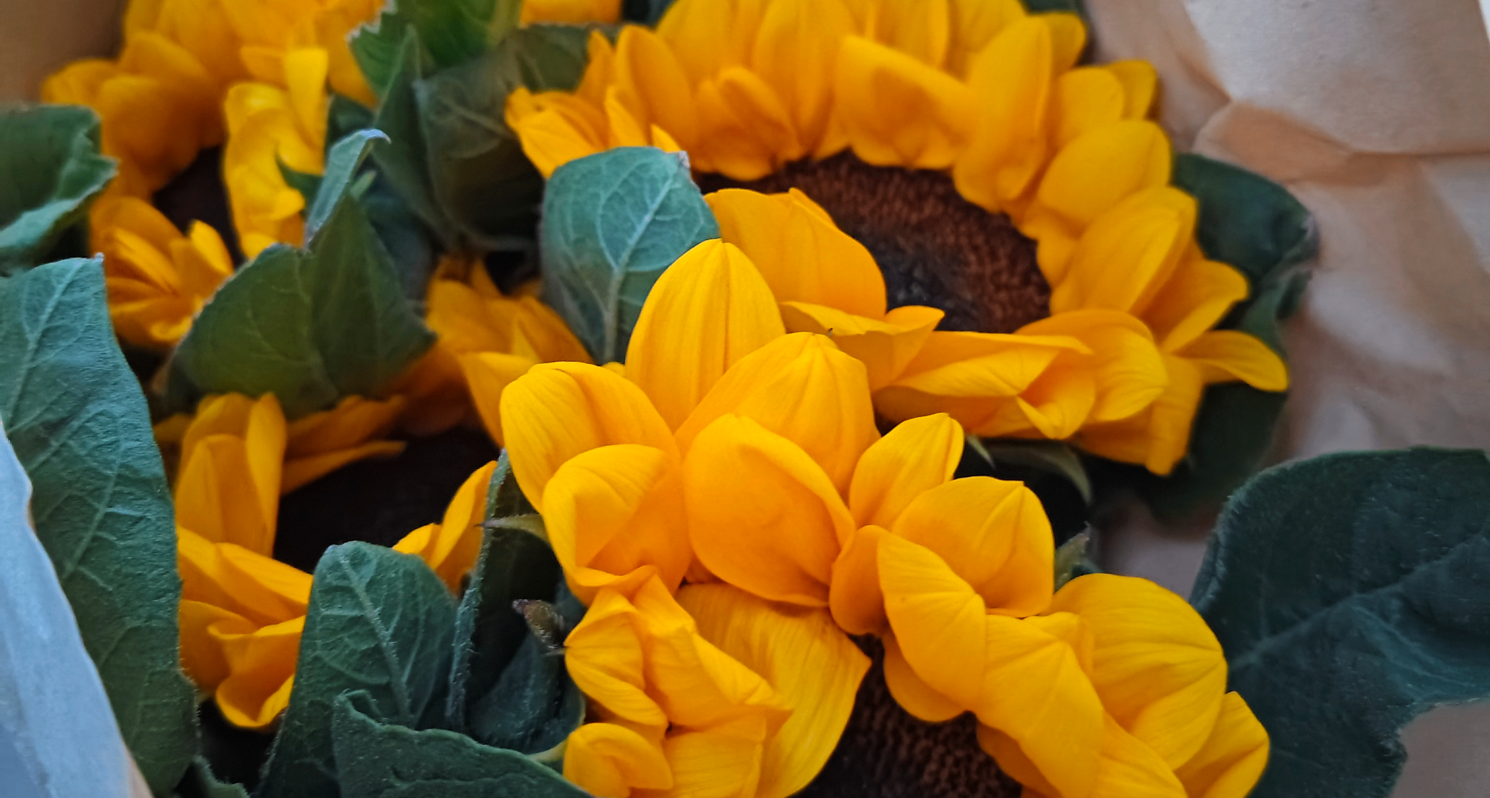 因成績不好被父母斷生活費一個月，大學四年最重要的是什麼？