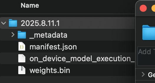 Google Chrome 默认下载 4GB 本地 AI 模型 Gemini Nano