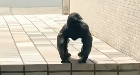 盘点那些摄影界的鬼才！就没有看了不发懵的！