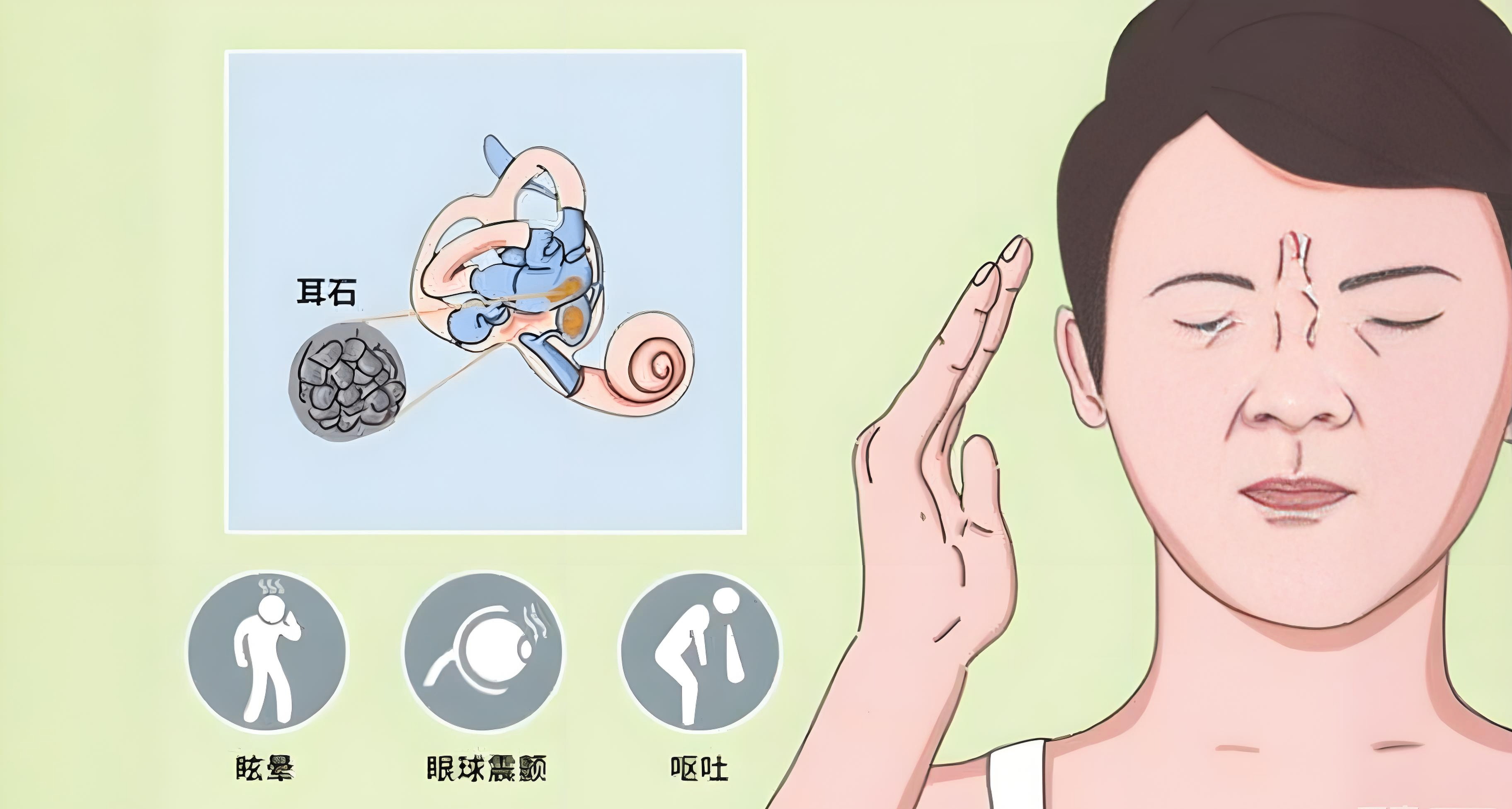 一起床就天旋地转？可能是耳朵里的“小石头”迷路了