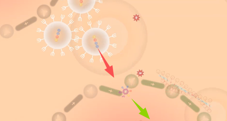 微觀世界的貓鼠遊戲：如何洗掉病毒身份隱身，以及使巨噬細胞致盲