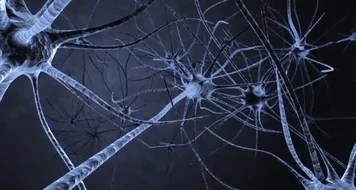 我們的說話方式可能隱藏着患阿爾茨海默病的信息