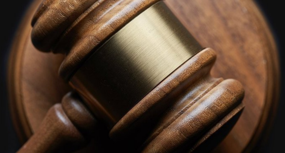 因为海鸥抢走了女儿的薯条，男子除掉海鸥，被判 8 个月？