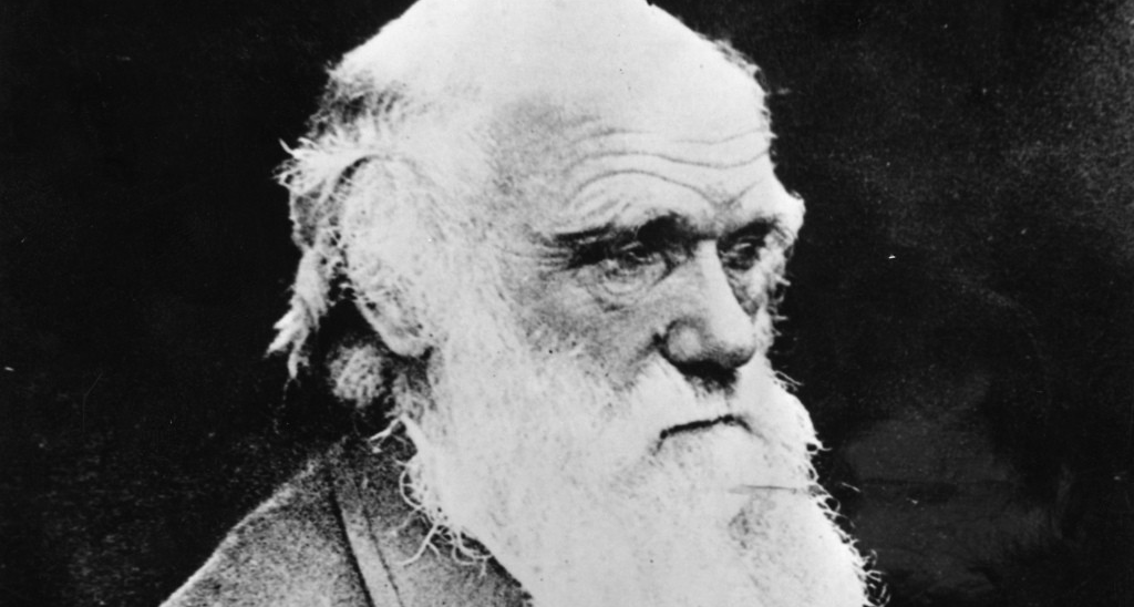 （硬核猜想）鳴潮黑暗森林——壽命越短，進步越快