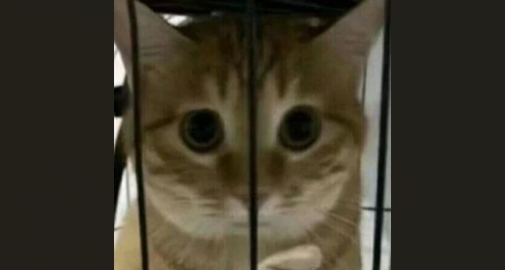 小時候在玩具角按了個按鈕，然後帽子叔叔來幼兒園找人了