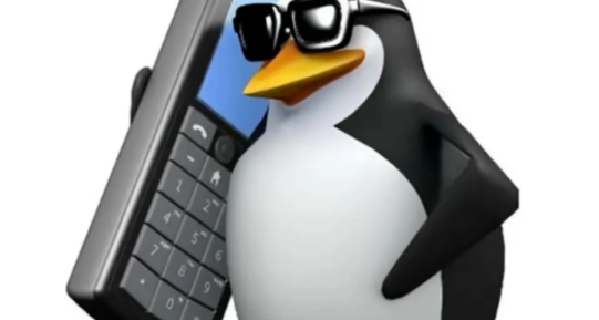 靠給人講租房、看病、交社保的“常識”，他9天漲粉100萬