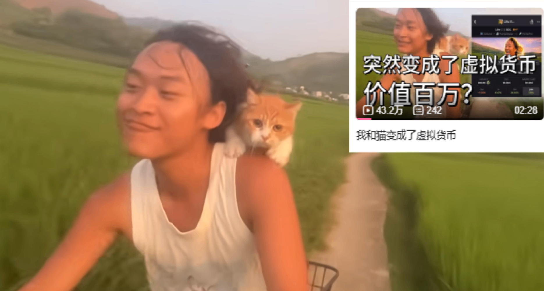 廣西淳樸小夥老實種着地卻被海外喪心病狂的幣圈捧成“百萬富翁”