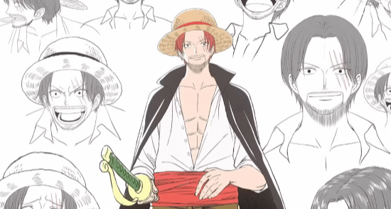 Netflix 官宣《海贼王》动漫完全重制：人物设定集！！