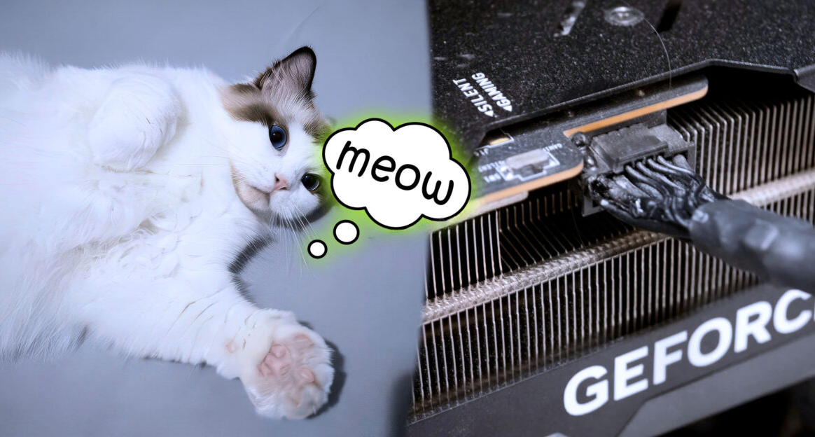 猫猫队立大功：家猫发现显卡供电接口冒烟，用户得以及时处理