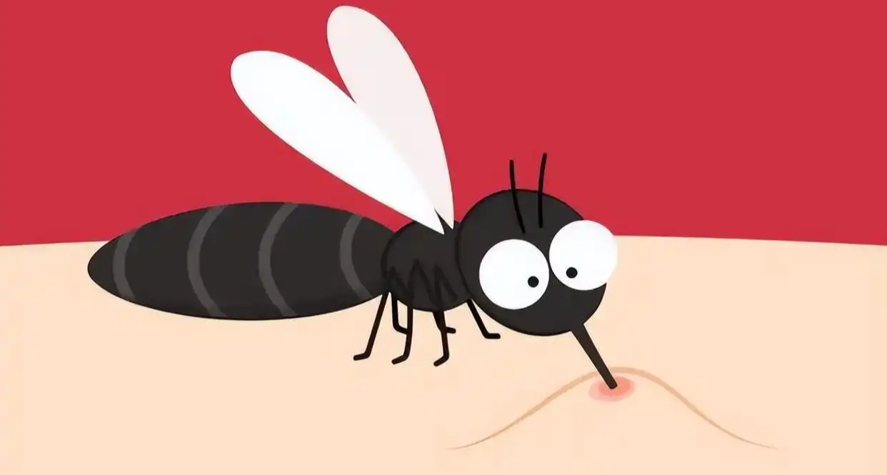 爲什麼蚊子總是更偏愛你？