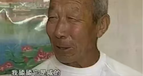 ⚡《XX科學》當年那些以恐怖氛圍開頭，以搞笑結尾的奇葩故事⚡