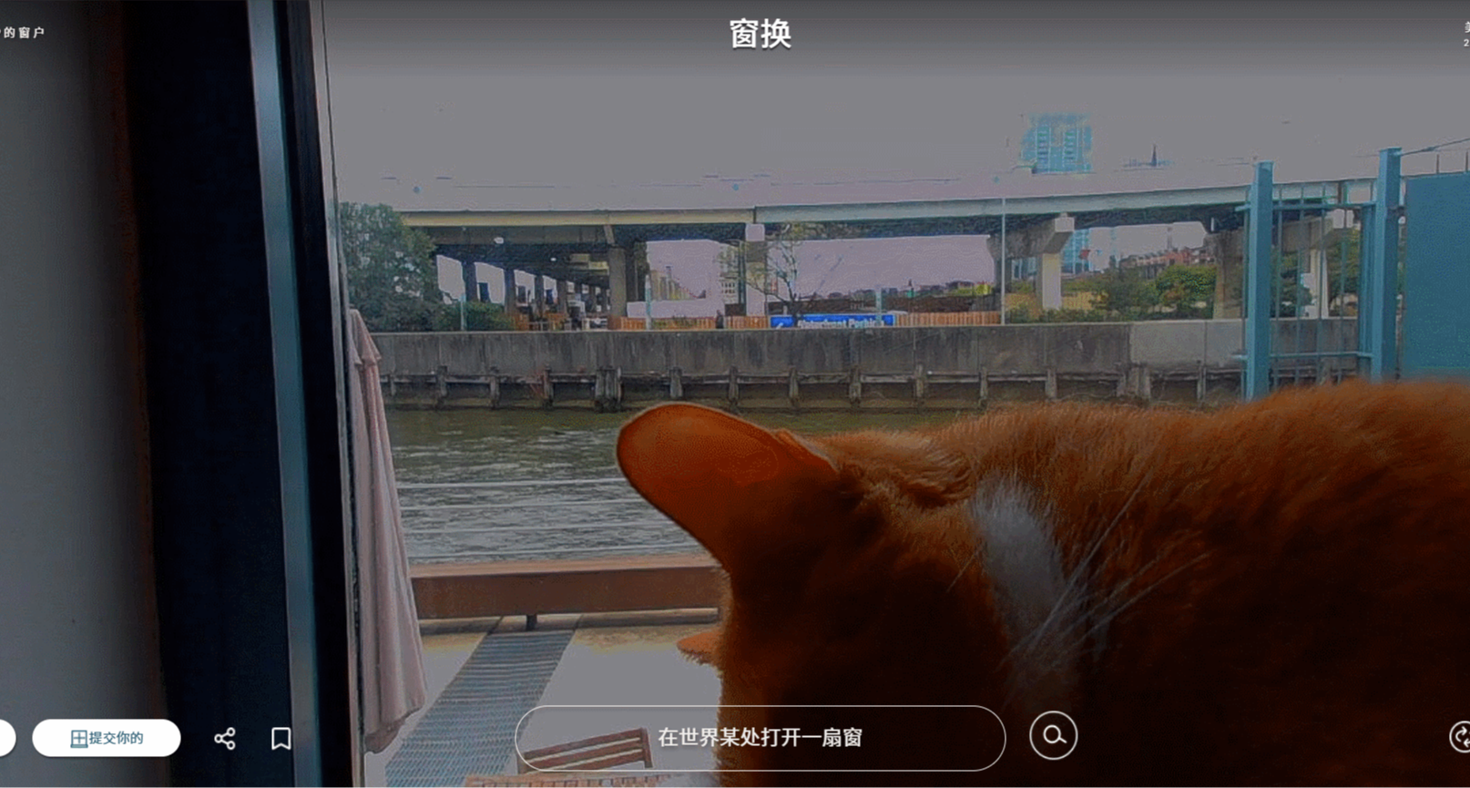 打开浏览器就能放松：分享 4 个完全免费的神仙网页