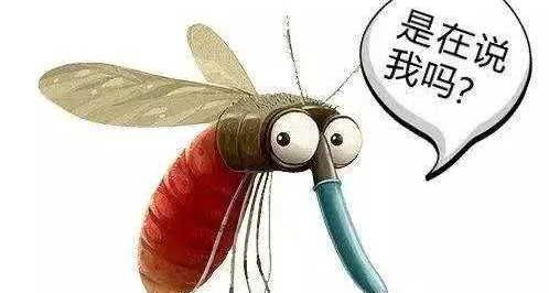 ⚡蚊子更喜欢O型血的人❓⚡