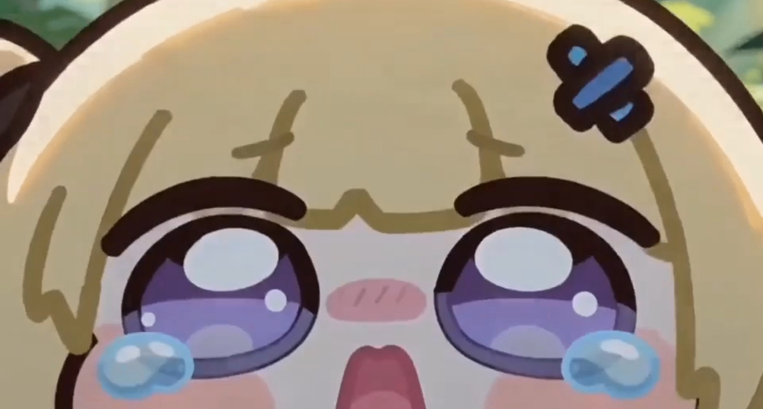 再不讓我養一隻菲比啾比，今晚我就撞死在你眼前