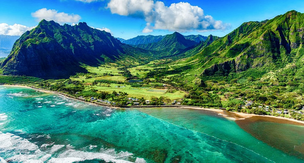 G胖真良心！V社員工每年都可獲得一次全額全額夏威夷旅行！