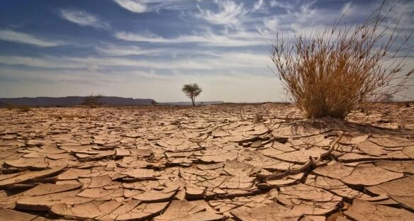 国家气候中心回应预计5月地球将进入“厄尔尼诺”状态