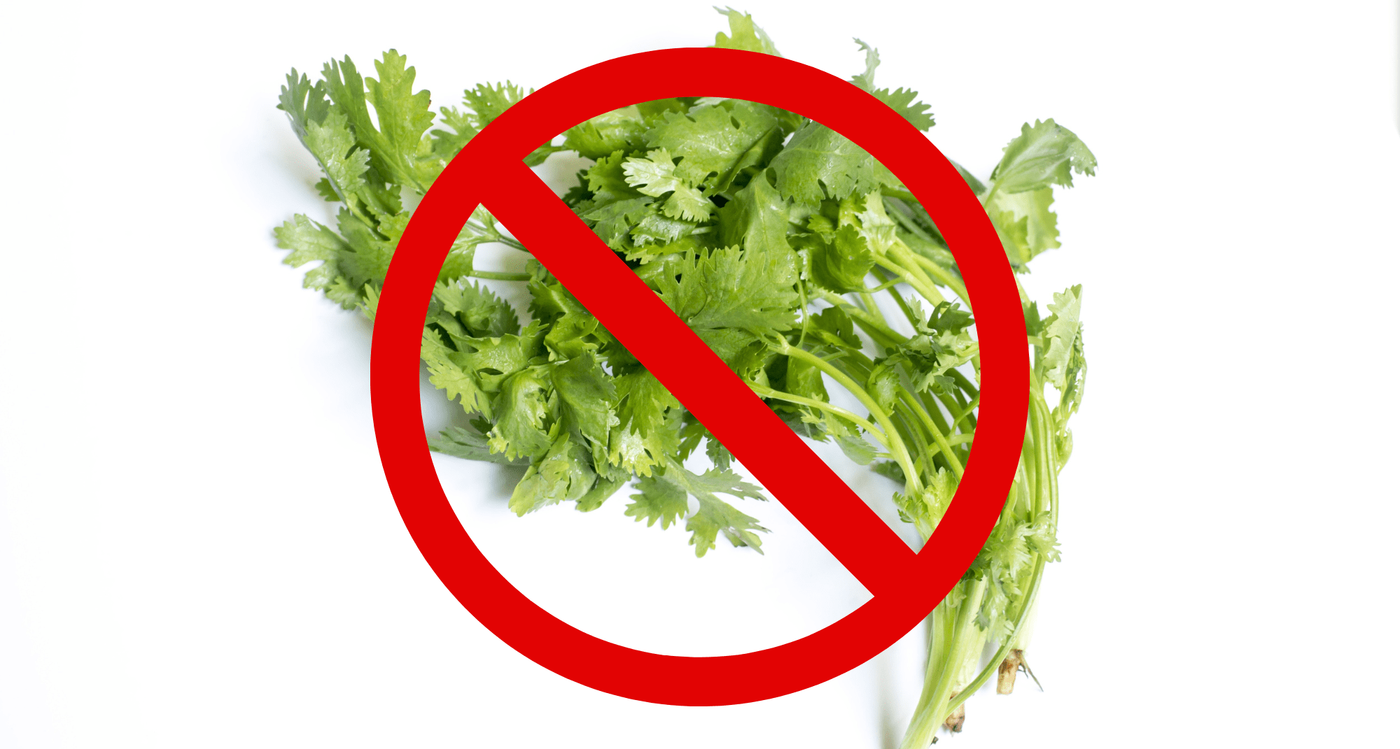 “老板，不要香菜，谢谢🙏“