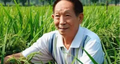 你知道刷野生的異色炫彩水稻有多難嗎