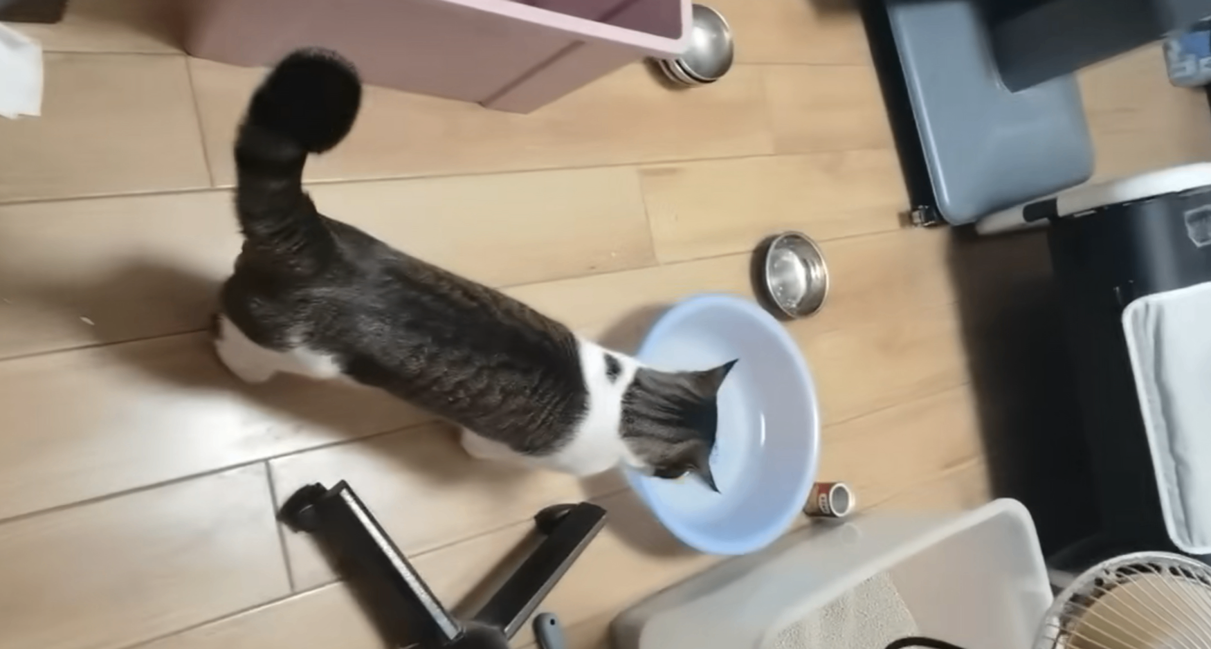 知道我在独立开发游戏之后，导师的一句话让我泪奔