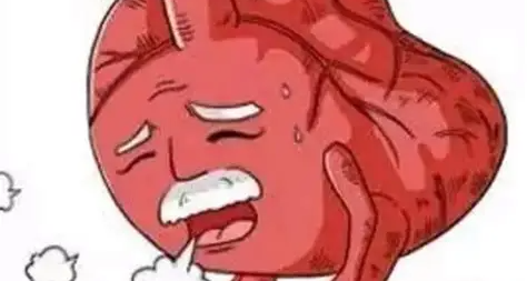 【冷百科】一生不停的心臟，爲啥不會感覺到累呢？