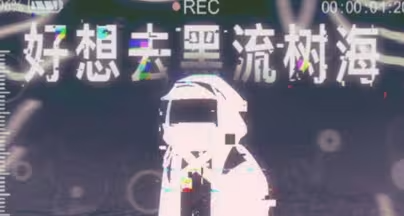 <黑流树海>相关梳理