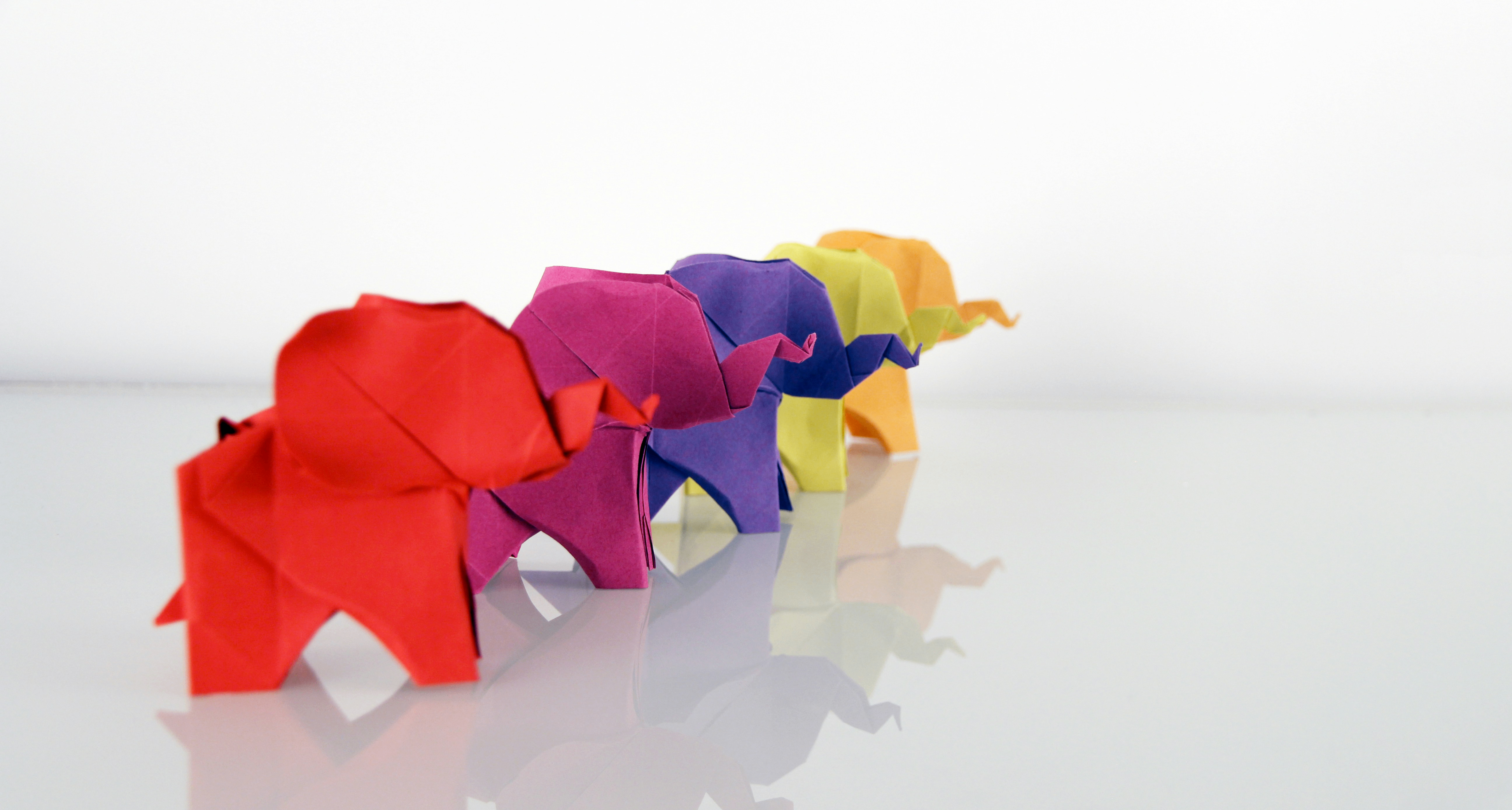 仿生學：自然界的摺紙大師