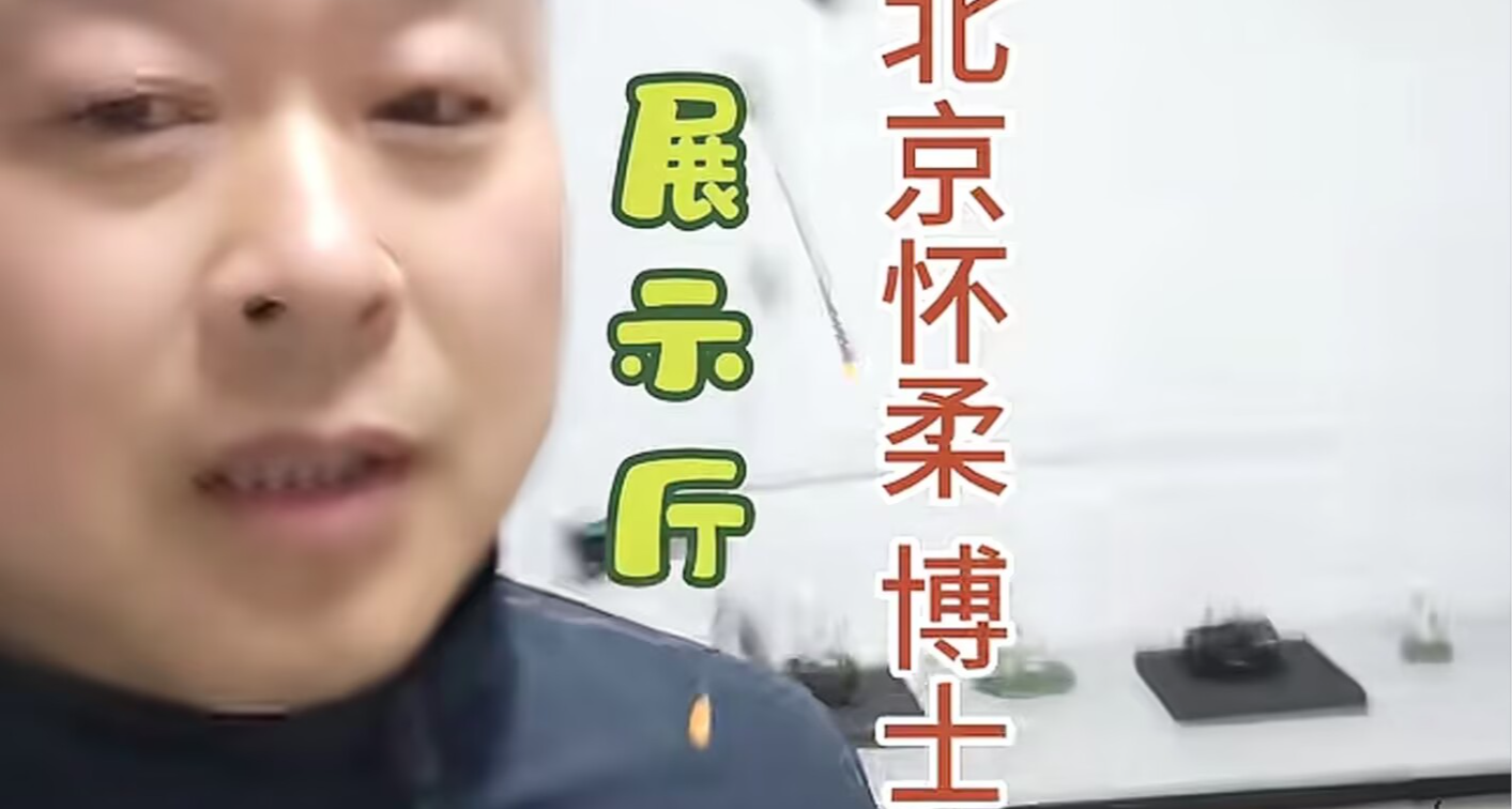 螢火蟲難道真的只能存在在記憶裏了嗎