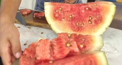 世界罗生门——西瓜居然是外来物种？早期的西瓜有多难吃？