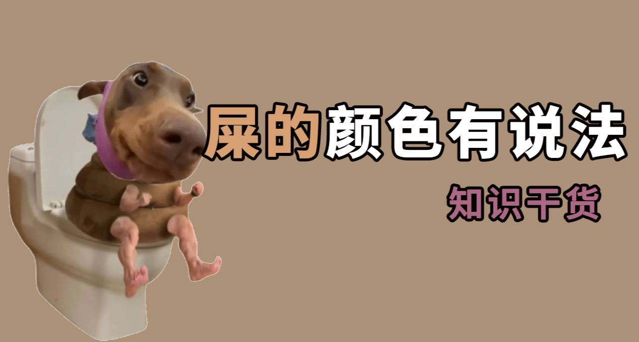 屎的顏色與你身體有關，健康知識點，這你得留意！