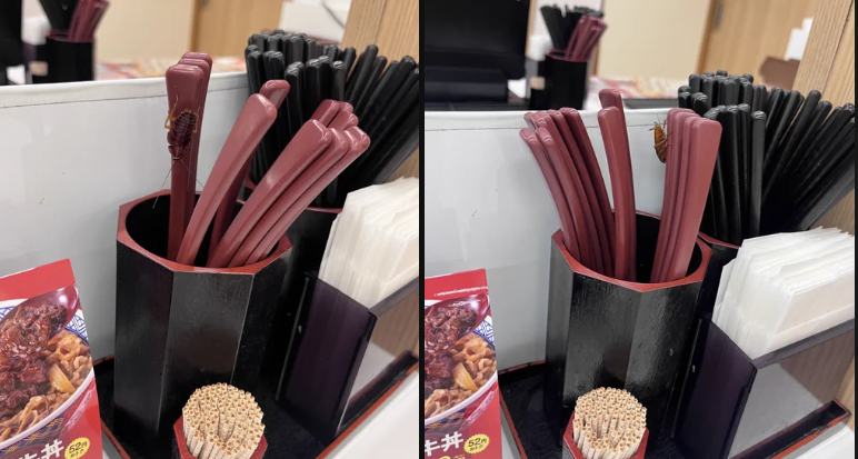 日本用戶揭露吉野家飯店出現蟑螂，卻招來批評和質疑之聲