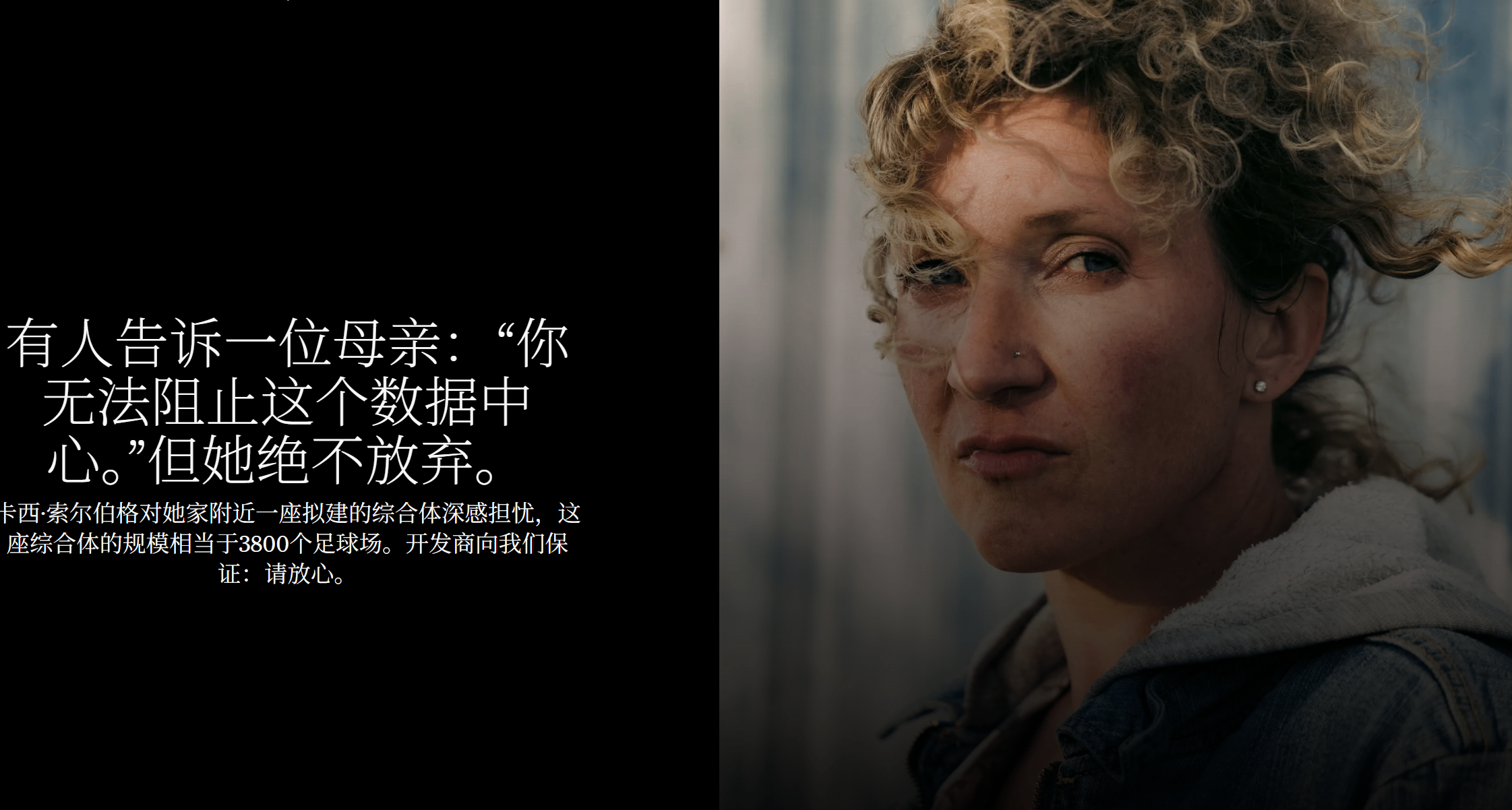 蒙大拿州母亲单挑AI数据中心：开发商说“你挡不住”，她拒绝放弃