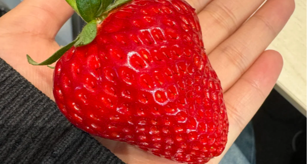 士多啤梨不是梨，是草莓！12 个关于食物的有趣知识你知道吗？