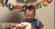 日本网红，用生日蛋糕恶搞孩童，博流量，引起全网热议！