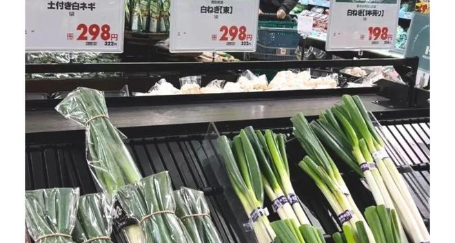 日本 “蔥危機” 爆發！食品集體漲價，日元貶值何時是個頭？