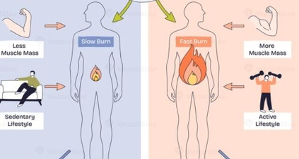 【冷百科】一喫就胖？人體的能量轉化效率究竟有多高呢？