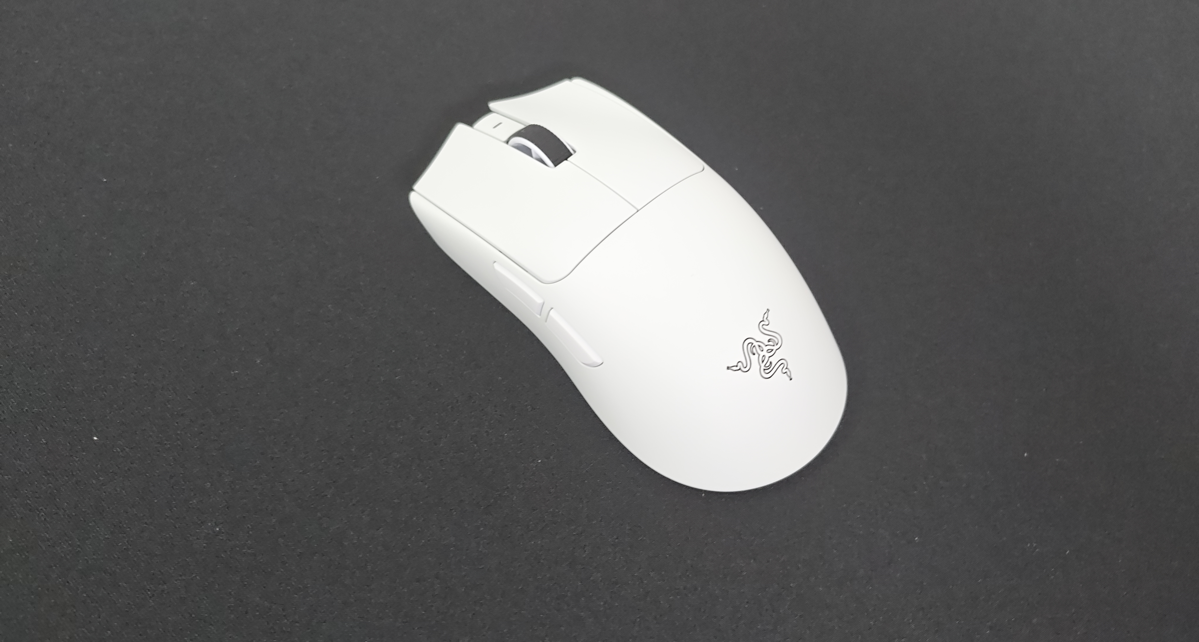 依舊世一鼠 鼠皇 冠軍的神兵利器 ——雷蛇毒蝰V4PRO